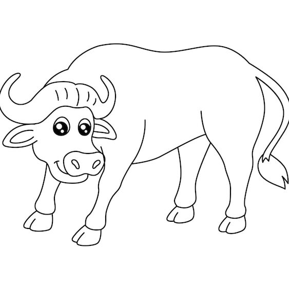 Dibujos de Búfalo para imprimir y colorear