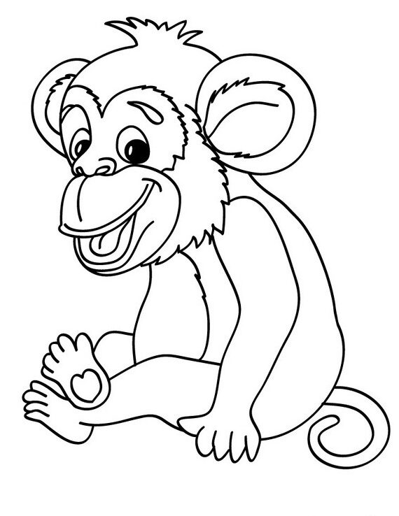 Dibujos de Chimpancé para imprimir y colorear