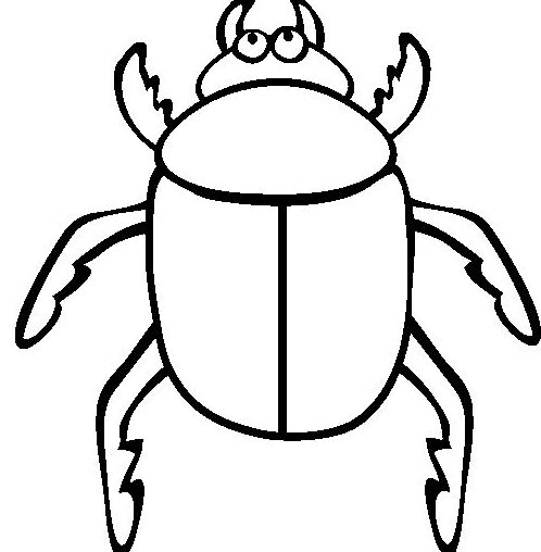 Dibujos de Escarabajo para imprimir y colorear