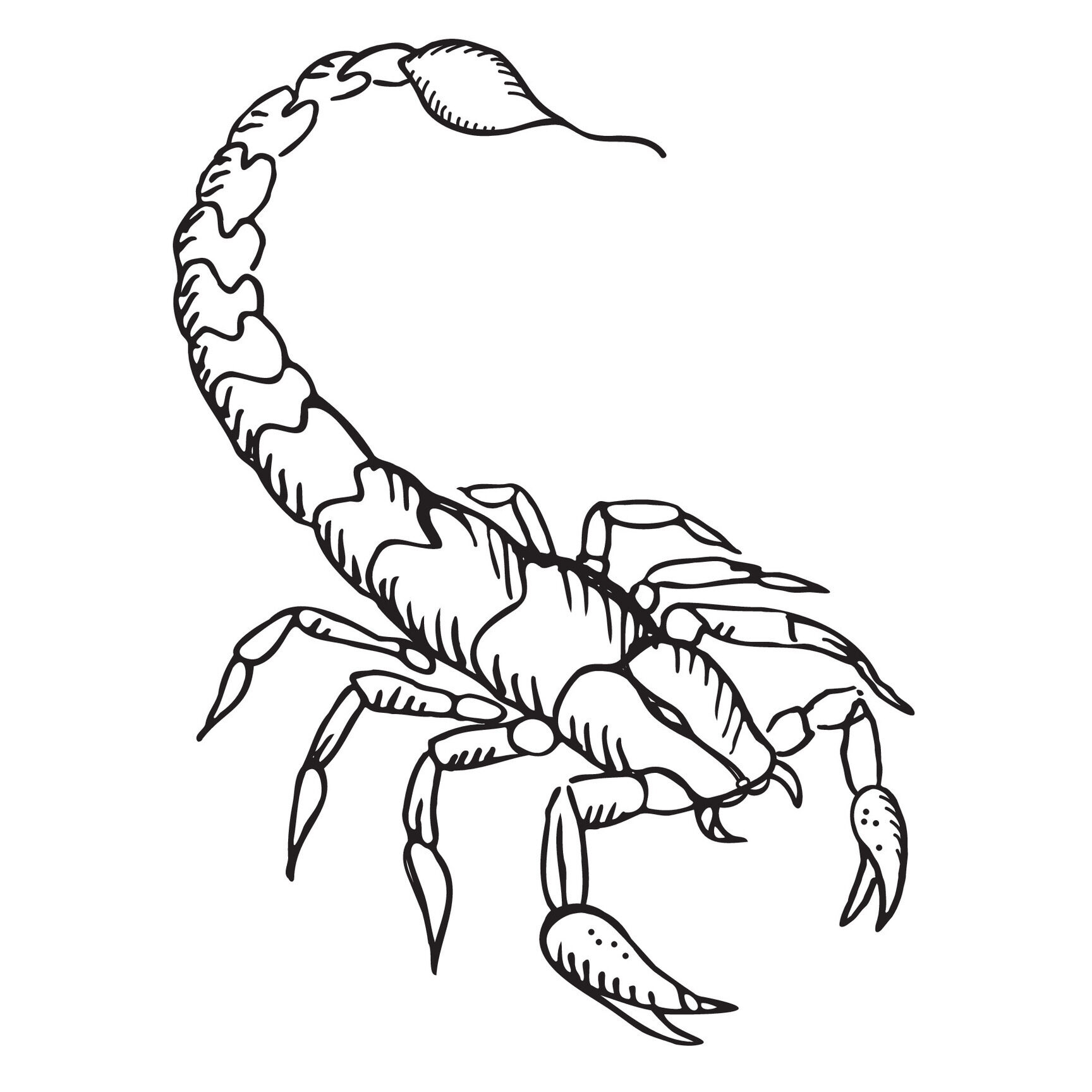 Dibujos de Escorpión para imprimir y colorear