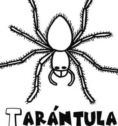 Dibujos de Tarántula para imprimir y colorear